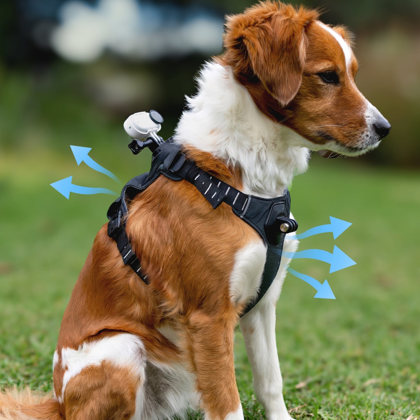 Pet Harness Mount Size M