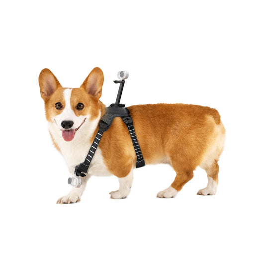 Pet Harness Mount Size M