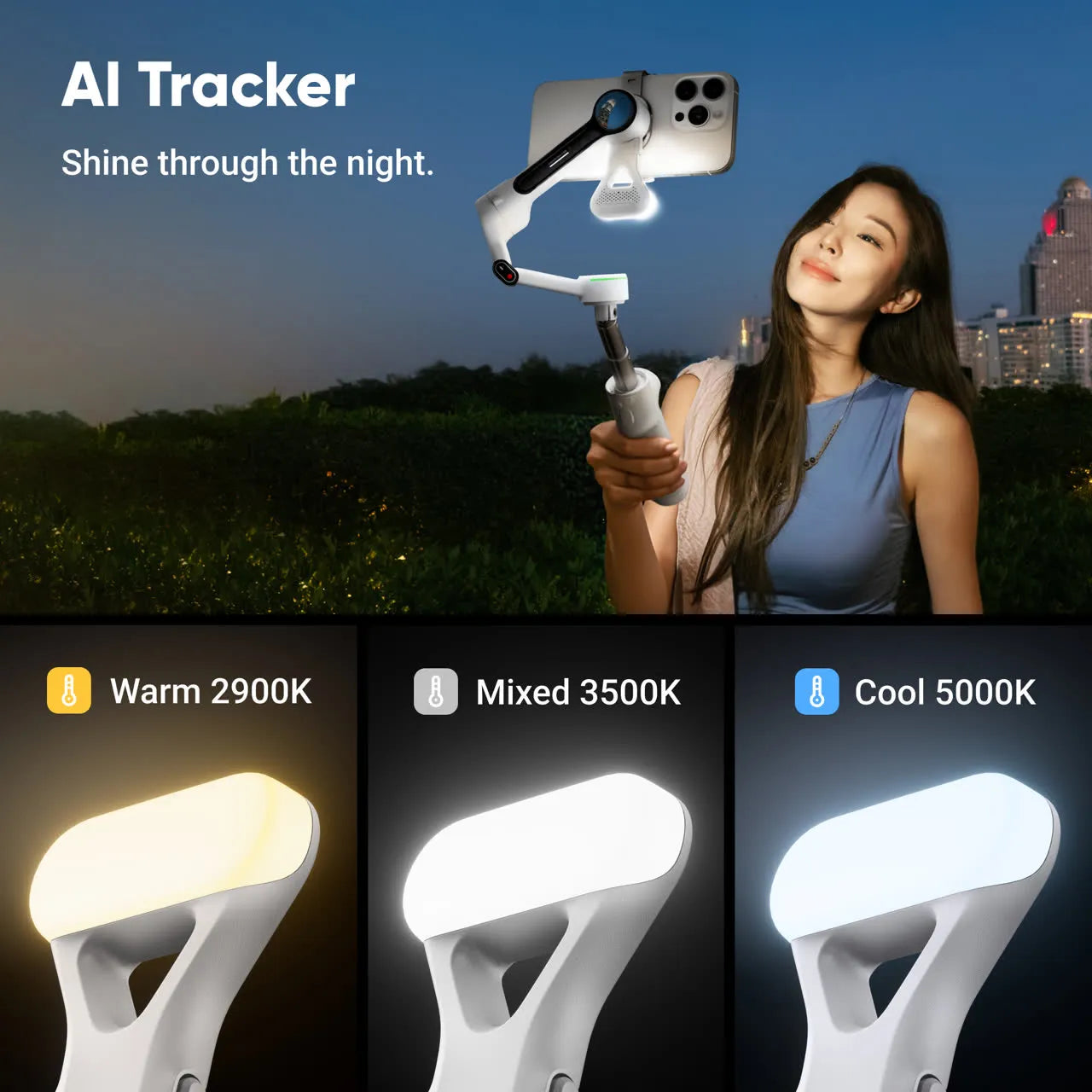 Insta360 Flow 2 Pro (Grey) with AI Tracker Bundle